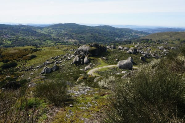 Foto 2 da atividade Galeria de Fotos