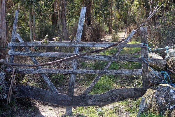 Foto 69 da atividade Galeria de Fotos