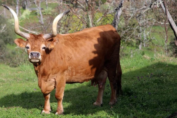 Foto 64 da atividade Galeria de Fotos