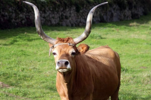 Foto 59 da atividade Galeria de Fotos