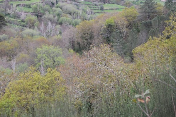 Foto 54 da atividade Galeria de Fotos