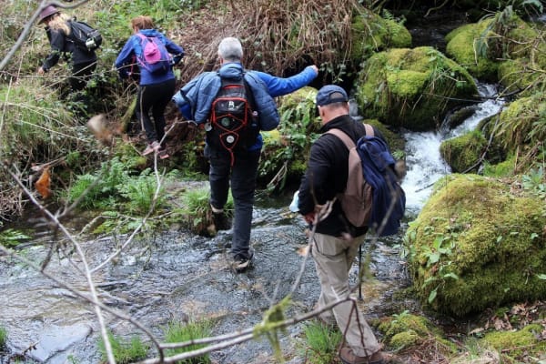 Foto 49 da atividade Galeria de Fotos