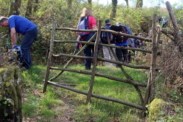 Foto 42 da atividade Galeria de Fotos