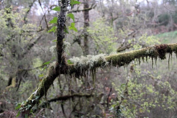 Foto 40 da atividade Galeria de Fotos