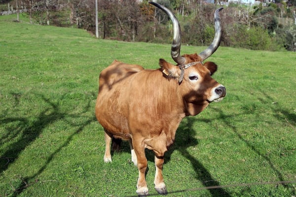 Foto 32 da atividade Galeria de Fotos