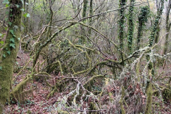 Foto 29 da atividade Galeria de Fotos