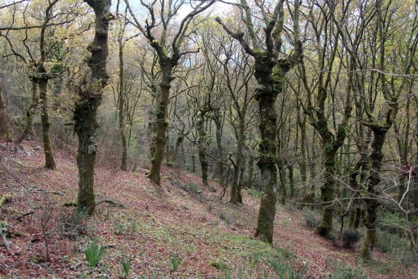 Foto 26 da atividade Galeria de Fotos