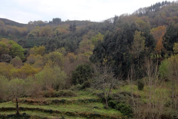 Foto 24 da atividade Galeria de Fotos