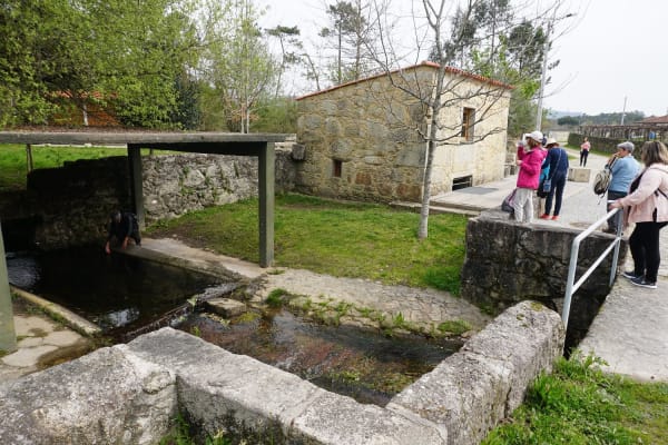 Foto 96 da atividade Galeria de Fotos