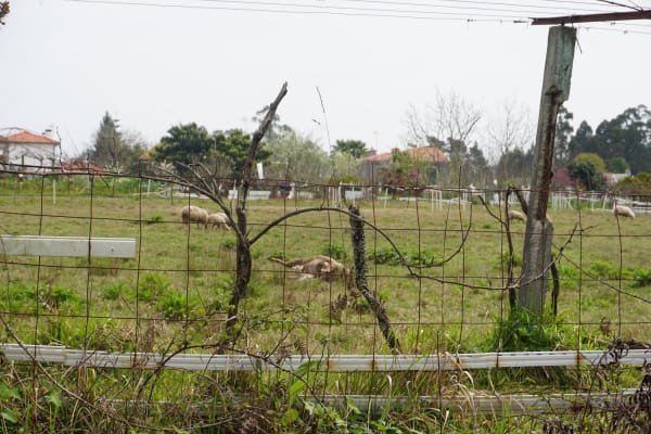 Foto 93 da atividade Galeria de Fotos