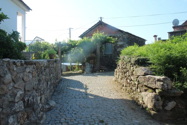 Foto 41 da atividade Galeria de Fotos