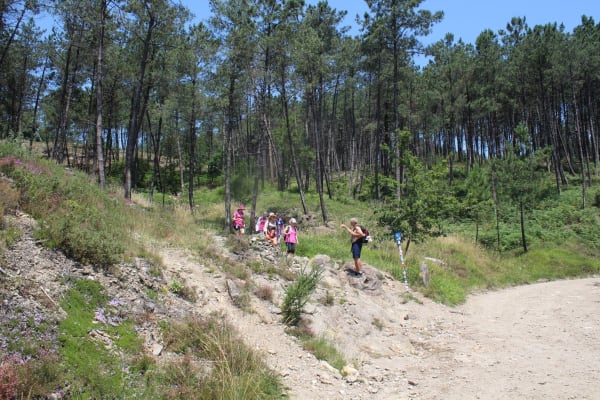 Foto 37 da atividade Galeria de Fotos