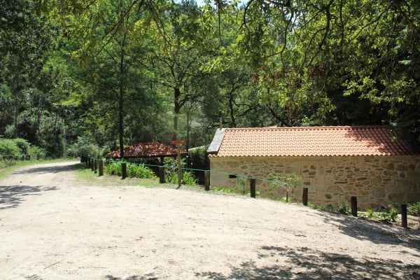 Foto 25 da atividade Galeria de Fotos