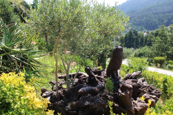 Foto 24 da atividade Galeria de Fotos