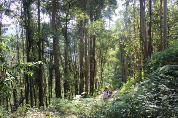 Foto 18 da atividade Galeria de Fotos