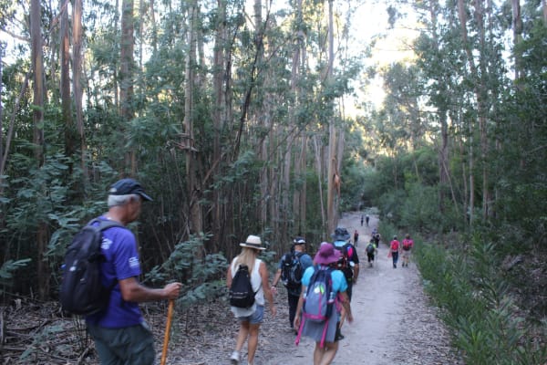 Foto 80 da atividade Galeria de Fotos