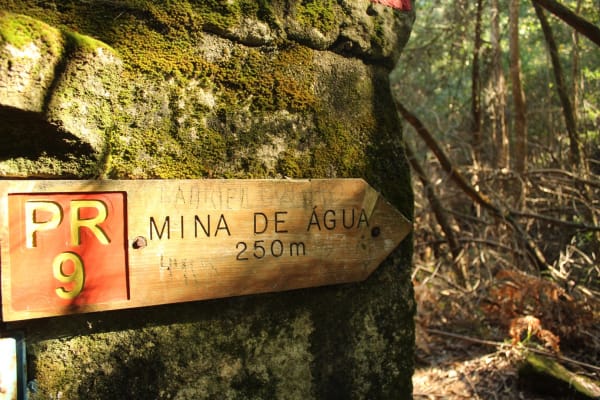 Foto 79 da atividade Galeria de Fotos