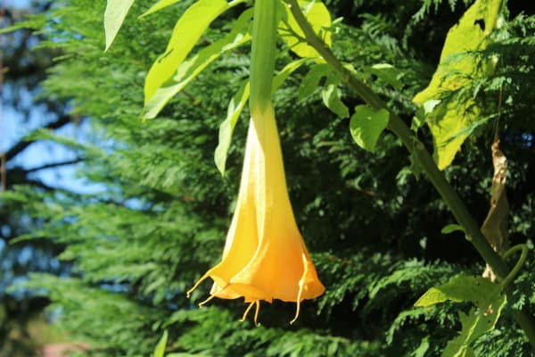 Foto 51 da atividade Galeria de Fotos