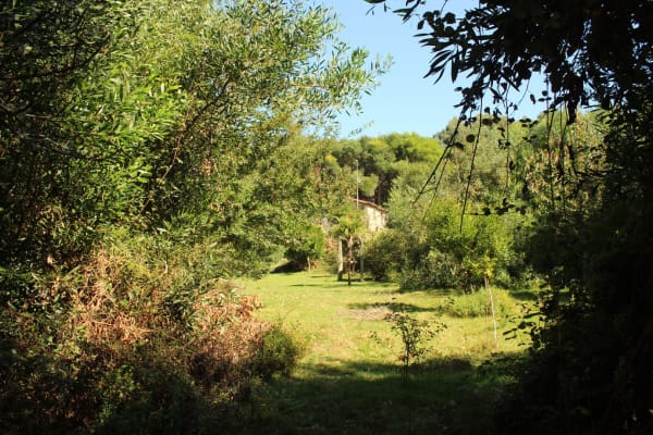 Foto 52 da atividade Galeria de Fotos