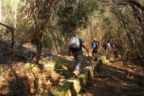 Foto 40 da atividade Galeria de Fotos