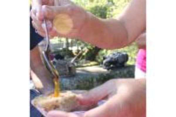 Foto 33 da atividade Galeria de Fotos