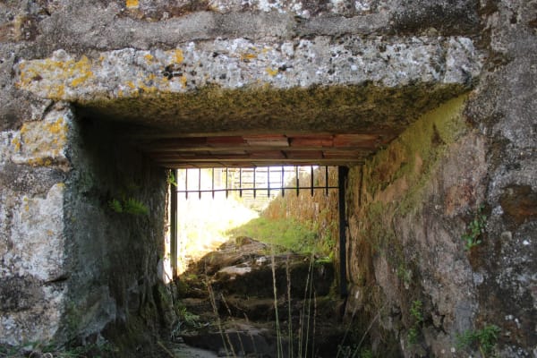 Foto 25 da atividade Galeria de Fotos