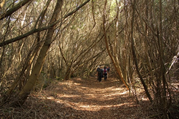 Foto 22 da atividade Galeria de Fotos