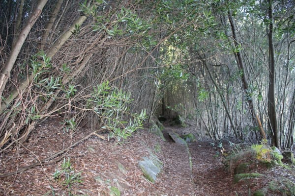 Foto 19 da atividade Galeria de Fotos