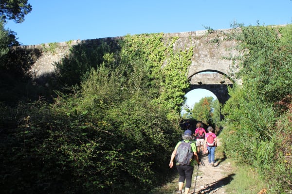 Foto 7 da atividade Galeria de Fotos