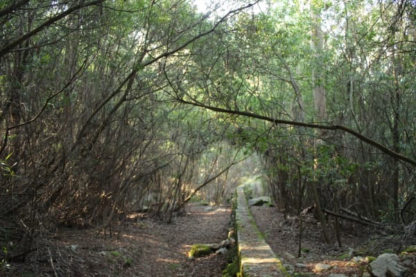 Foto 3 da atividade Galeria de Fotos