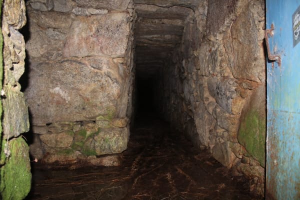 Foto 4 da atividade Galeria de Fotos