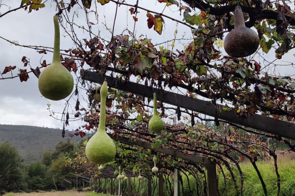 Foto 81 da atividade Galeria de Fotos