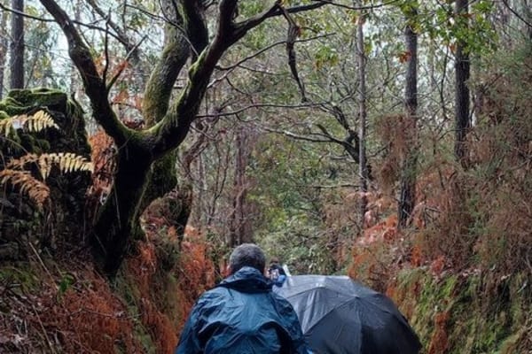 Foto 78 da atividade Galeria de Fotos