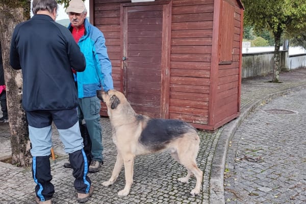 Foto 75 da atividade Galeria de Fotos