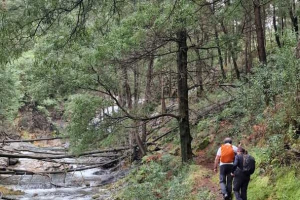 Foto 40 da atividade Galeria de Fotos