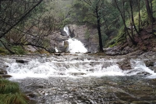 Foto 35 da atividade Galeria de Fotos