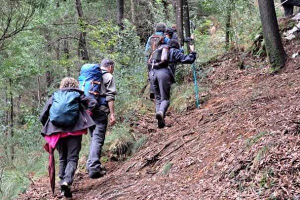 Foto 33 da atividade Galeria de Fotos