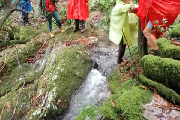 Foto 15 da atividade Galeria de Fotos