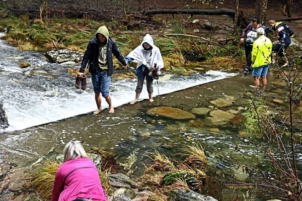 Foto 10 da atividade Galeria de Fotos