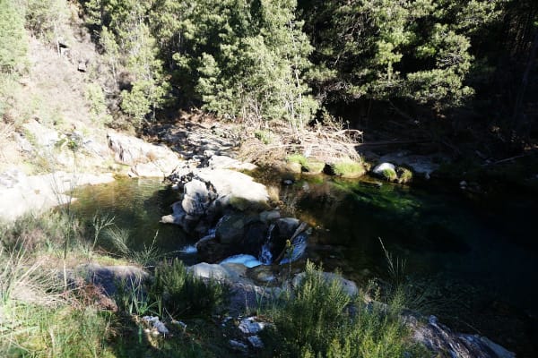 Foto 40 da atividade Galeria de Fotos