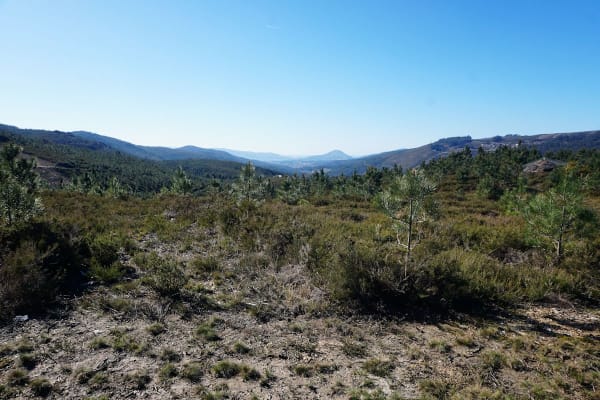 Foto 35 da atividade Galeria de Fotos