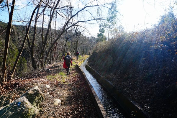 Foto 32 da atividade Galeria de Fotos