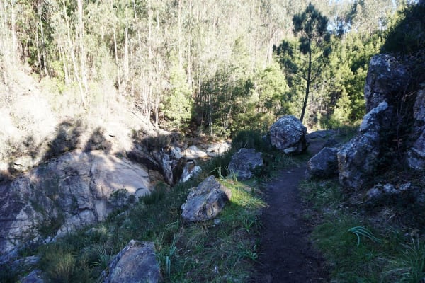 Foto 16 da atividade Galeria de Fotos