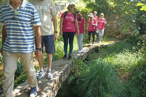 Foto 34 da atividade Galeria de Fotos