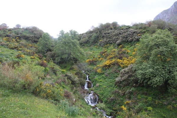 Foto 43 da atividade Galeria de Fotos