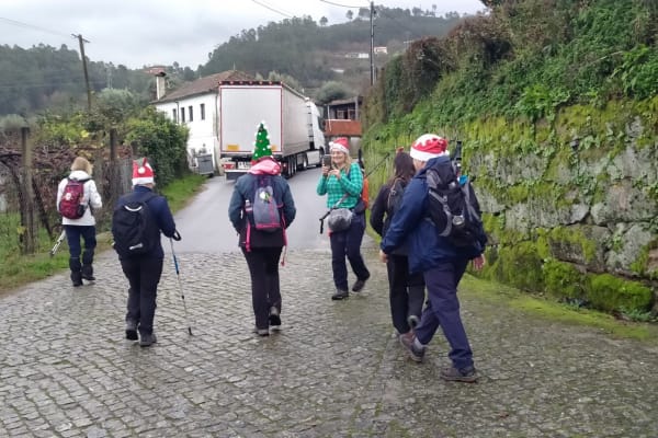 Foto 80 da atividade Galeria de Fotos