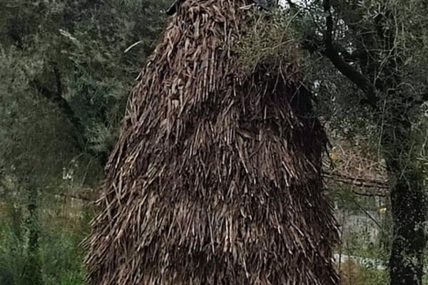 Foto 61 da atividade Galeria de Fotos