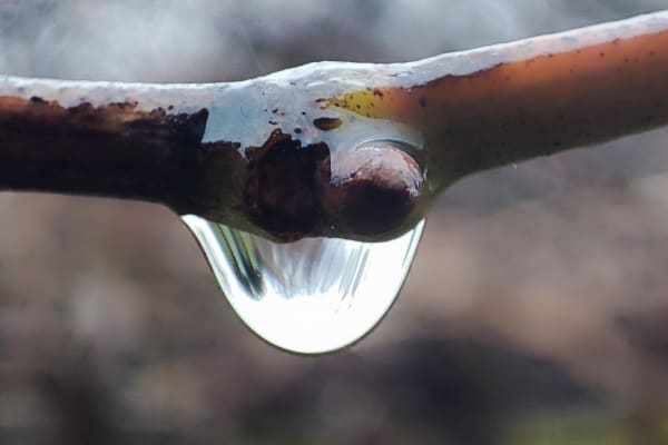 Foto 52 da atividade Galeria de Fotos