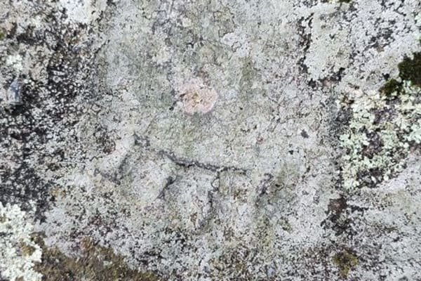 Foto 34 da atividade Galeria de Fotos