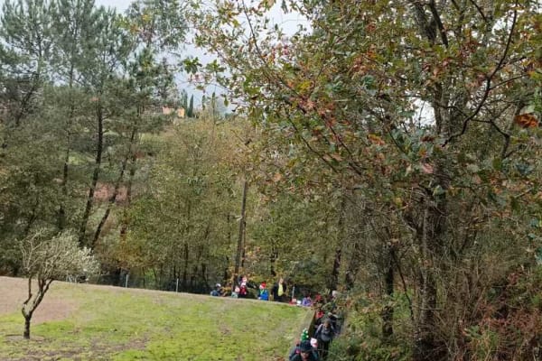 Foto 20 da atividade Galeria de Fotos